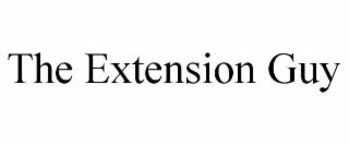 THE EXTENSION GUY