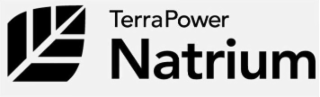 TERRAPOWER NATRIUM
