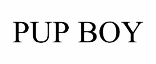 PUP BOY