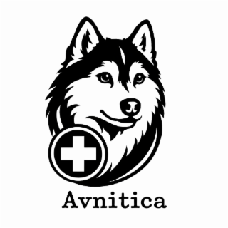 AVNITICA