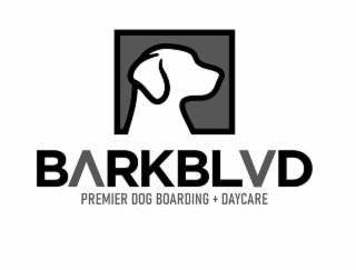 BARKBLVD PREMIER DOG BOARDING + DAYCARE