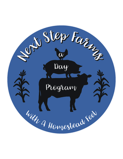 NEXT STEP FARMS A DAY PROGRAM WITH A HOMESTEAD FEEL
