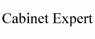 CABINET EXPERT