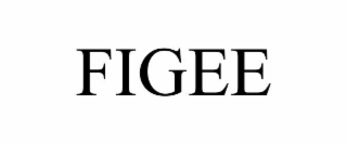 FIGEE