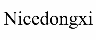 NICEDONGXI