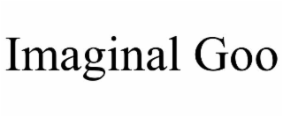 IMAGINAL GOO