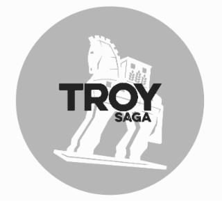 TROY SAGA