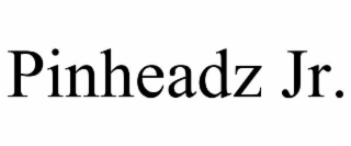 PINHEADZ JR.