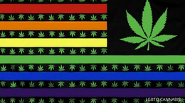 LGBTQ CANNABIS