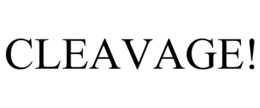 CleaVage, LLC