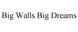 BIG WALLS BIG DREAMS