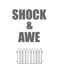 SHOCK & AWE
