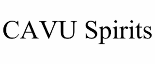 CAVU SPIRITS