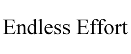 ENDLESS EFFORT