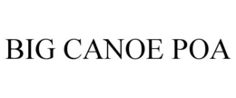 BIG CANOE POA