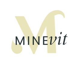 MINEVIT