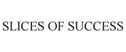SLICES OF SUCCESS