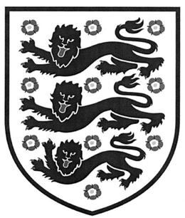 THE FOOTBALL ASSOCIATION LIMITED