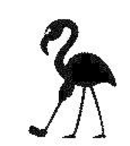 ADTN INTERNATIONAL LTD.