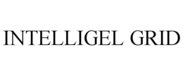 INTELLIGEL GRID