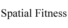 SPATIAL FITNESS
