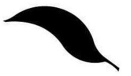 FRESHLINK PRODUCT DEVELOPMENT, LLC