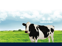 PLANTIMEX DISTRIBUTORS INC