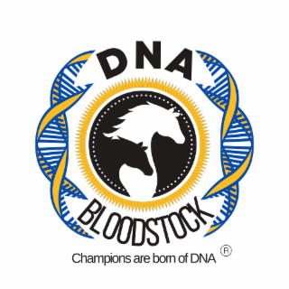 DNA BLOODSTOCK CHAMPIONS ARE BORN OF DNA
