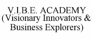 V.I.B.E. ACADEMY (VISIONARY INNOVATORS & BUSINESS EXPLORERS)