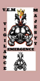 V.E.M VIGILANCE EMERGENCE VIGILANCE