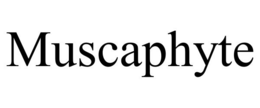 MUSCAPHYTE