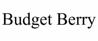 BUDGET BERRY