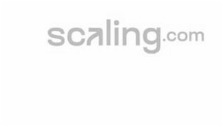 SCALING.COM