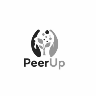 PEERUP