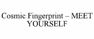 COSMIC FINGERPRINT – MEET YOURSELF