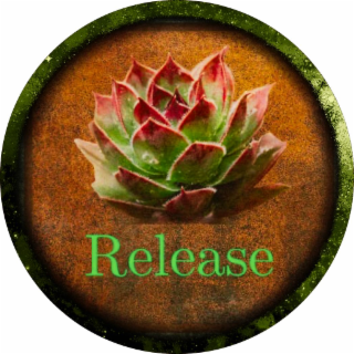 RELEASE