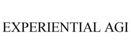 EXPERIENTIAL AGI