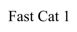 FAST CAT 1