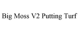 BIG MOSS V2 PUTTING TURF