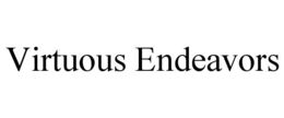 VIRTUOUS ENDEAVORS