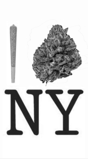 I NY