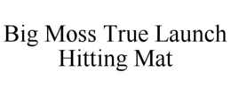 BIG MOSS TRUE LAUNCH HITTING MAT