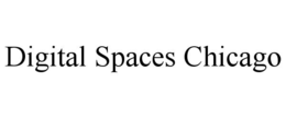 DIGITAL SPACES CHICAGO