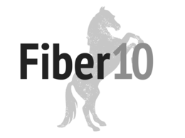 FIBER 10