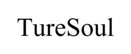 TURESOUL
