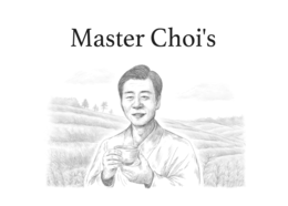 MASTER CHOI'S