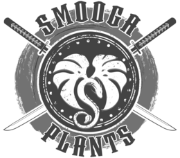 SMOOGA PLANTS