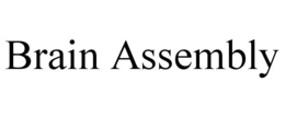 BRAIN ASSEMBLY