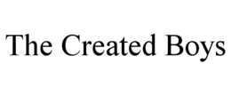 THE CREATED BOYS