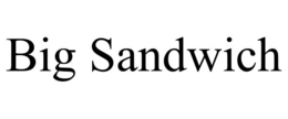 BIG SANDWICH